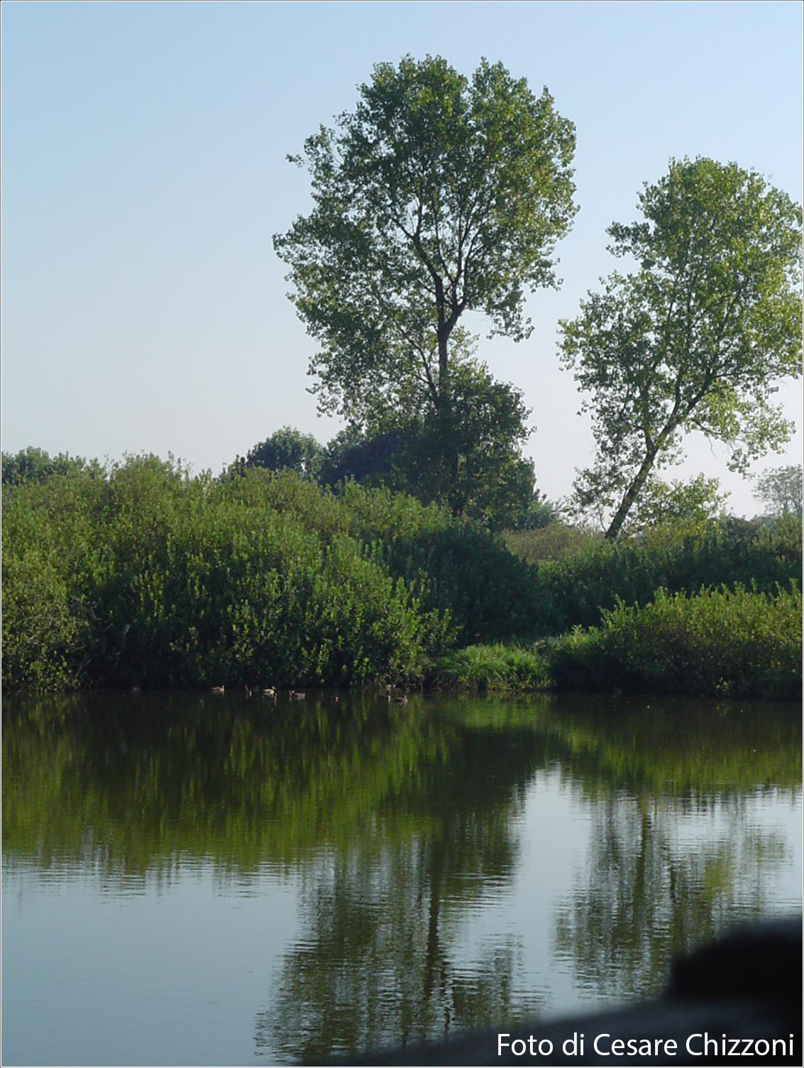Marcaria - Riserva Naturale Parco Oglio Sud